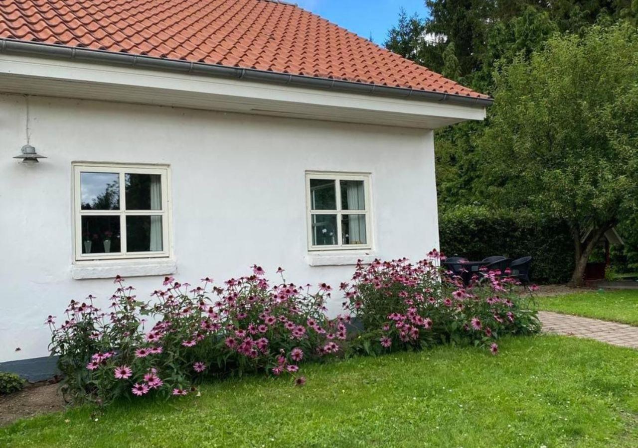 Lille Grynborg Villa Blommenslyst Exterior photo